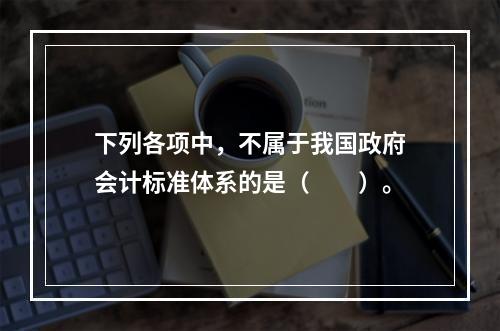 下列各项中，不属于我国政府会计标准体系的是（　　）。