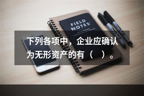 下列各项中，企业应确认为无形资产的有（　）。