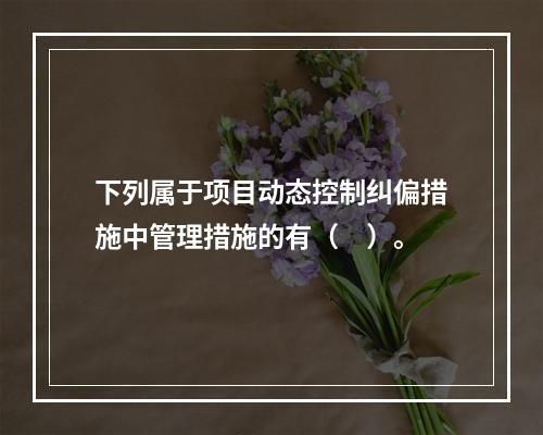 下列属于项目动态控制纠偏措施中管理措施的有（　）。