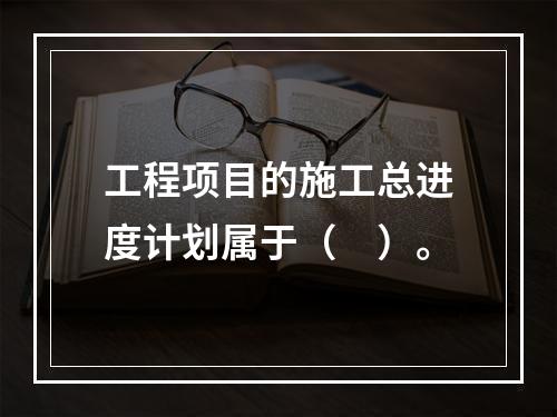 工程项目的施工总进度计划属于（　）。