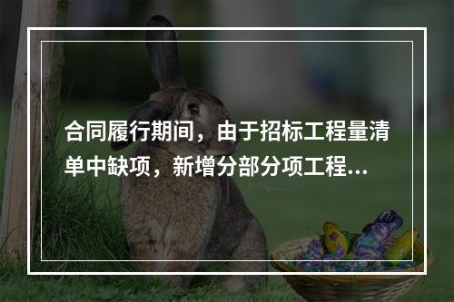 合同履行期间，由于招标工程量清单中缺项，新增分部分项工程清单