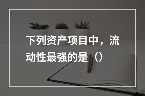 下列资产项目中，流动性最强的是（）