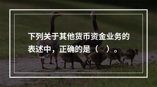 下列关于其他货币资金业务的表述中，正确的是（　）。