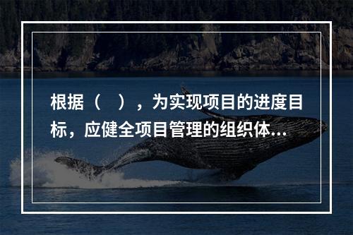 根据（　），为实现项目的进度目标，应健全项目管理的组织体系。