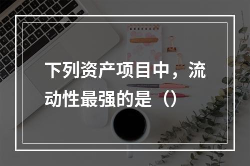 下列资产项目中，流动性最强的是（）