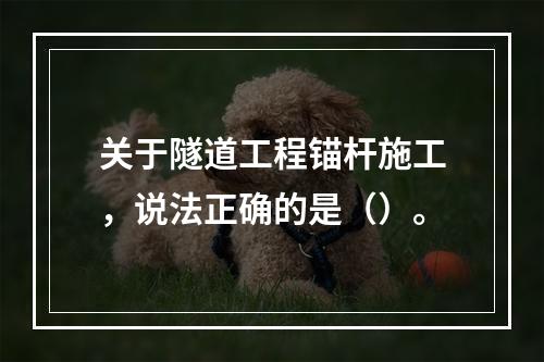 关于隧道工程锚杆施工，说法正确的是（）。