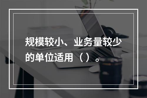 规模较小、业务量较少的单位适用（ ）。