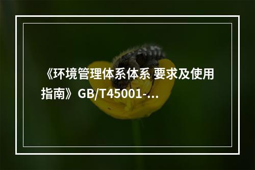 《环境管理体系体系 要求及使用指南》GB/T45001-20