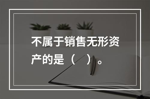 不属于销售无形资产的是（　）。