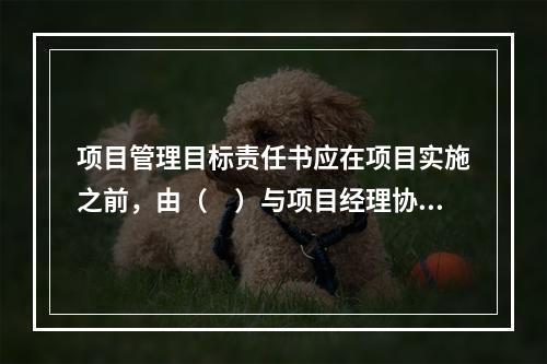 项目管理目标责任书应在项目实施之前，由（　）与项目经理协商制