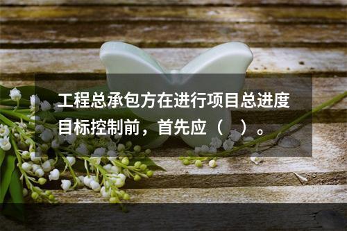 工程总承包方在进行项目总进度目标控制前，首先应（　）。