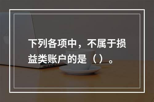 下列各项中，不属于损益类账户的是（ ）。