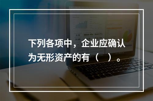 下列各项中，企业应确认为无形资产的有（　）。