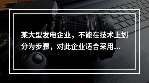 某大型发电企业，不能在技术上划分为步骤，对此企业适合采用的成