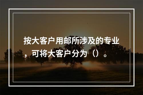 按大客户用邮所涉及的专业，可将大客户分为（）。