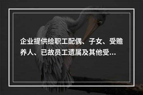 企业提供给职工配偶、子女、受赡养人、已故员工遗属及其他受益人