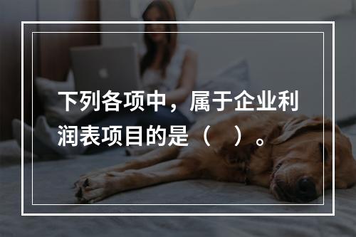 下列各项中，属于企业利润表项目的是（　）。