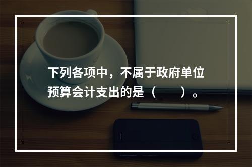 下列各项中，不属于政府单位预算会计支出的是（　　）。