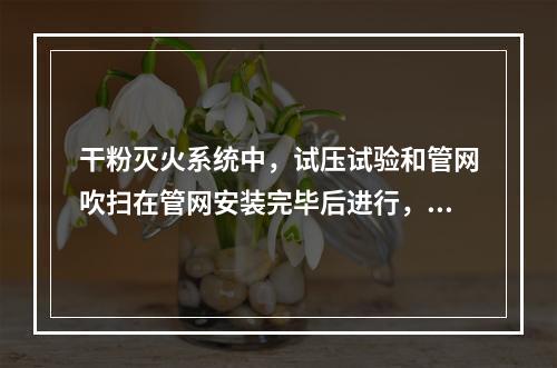 干粉灭火系统中，试压试验和管网吹扫在管网安装完毕后进行，在（