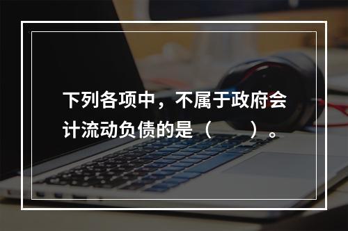 下列各项中，不属于政府会计流动负债的是（　　）。