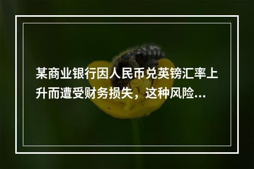 某商业银行因人民币兑英镑汇率上升而遭受财务损失，这种风险属于