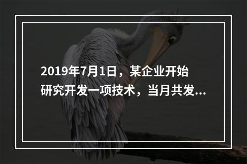 2019年7月1日，某企业开始研究开发一项技术，当月共发生研