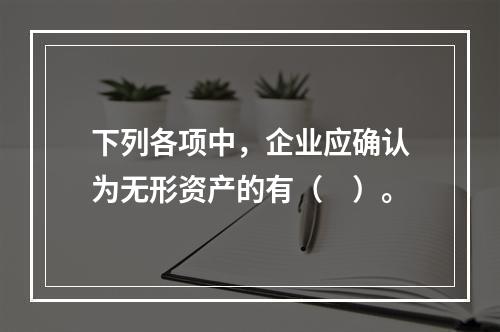 下列各项中，企业应确认为无形资产的有（　）。