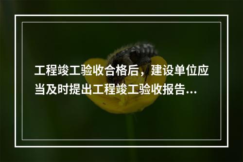 工程竣工验收合格后，建设单位应当及时提出工程竣工验收报告。竣