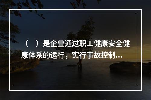 （　）是企业通过职工健康安全健康体系的运行，实行事故控制的开