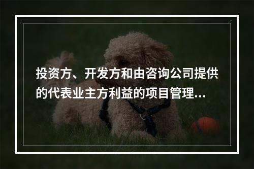 投资方、开发方和由咨询公司提供的代表业主方利益的项目管理服务