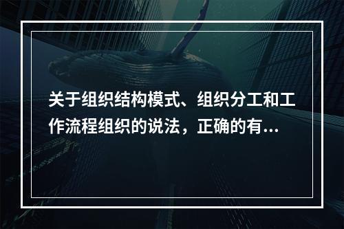 关于组织结构模式、组织分工和工作流程组织的说法，正确的有（　