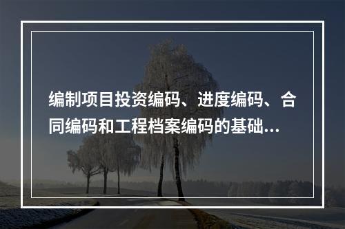 编制项目投资编码、进度编码、合同编码和工程档案编码的基础是（