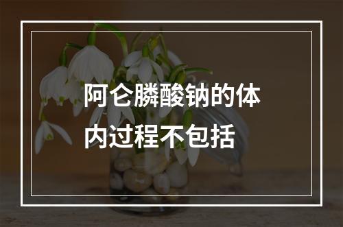 阿仑膦酸钠的体内过程不包括