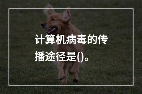 计算机病毒的传播途径是()。