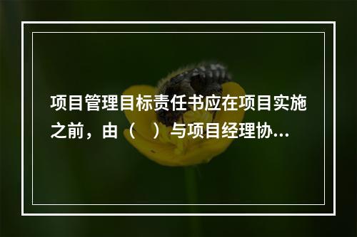 项目管理目标责任书应在项目实施之前，由（　）与项目经理协商制