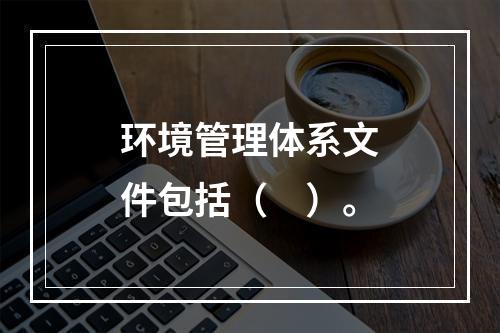 环境管理体系文件包括（　）。