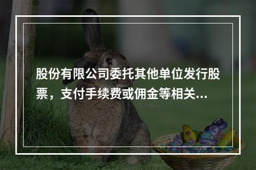 股份有限公司委托其他单位发行股票，支付手续费或佣金等相关费用