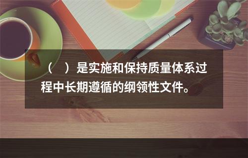 （　）是实施和保持质量体系过程中长期遵循的纲领性文件。