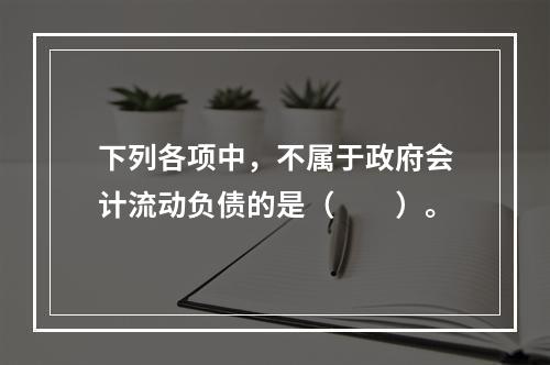 下列各项中，不属于政府会计流动负债的是（　　）。