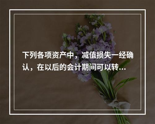 下列各项资产中，减值损失一经确认，在以后的会计期间可以转回的