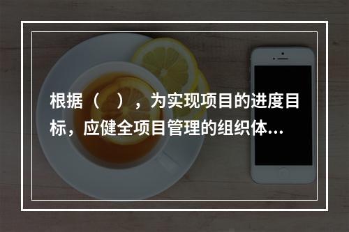 根据（　），为实现项目的进度目标，应健全项目管理的组织体系。