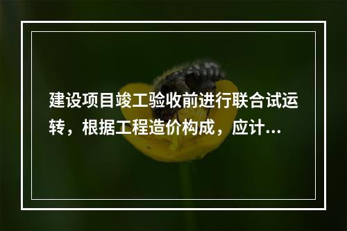 建设项目竣工验收前进行联合试运转，根据工程造价构成，应计入联