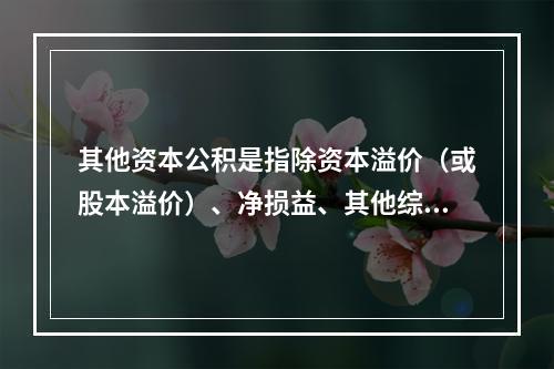 其他资本公积是指除资本溢价（或股本溢价）、净损益、其他综合收