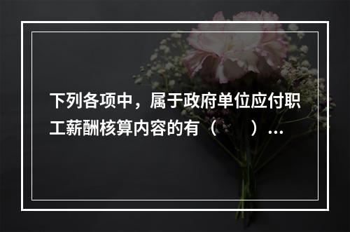 下列各项中，属于政府单位应付职工薪酬核算内容的有（　　）。