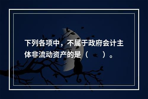 下列各项中，不属于政府会计主体非流动资产的是（　　）。