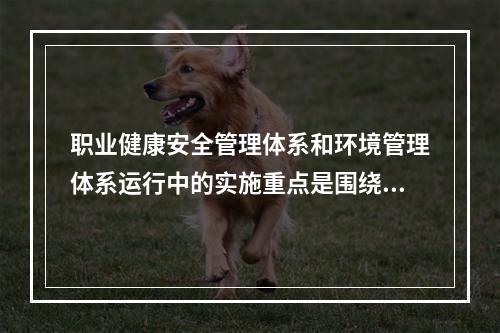 职业健康安全管理体系和环境管理体系运行中的实施重点是围绕（　