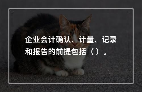 企业会计确认、计量、记录和报告的前提包括（ ）。