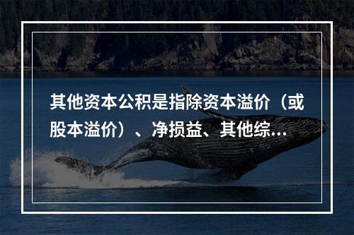 其他资本公积是指除资本溢价（或股本溢价）、净损益、其他综合收