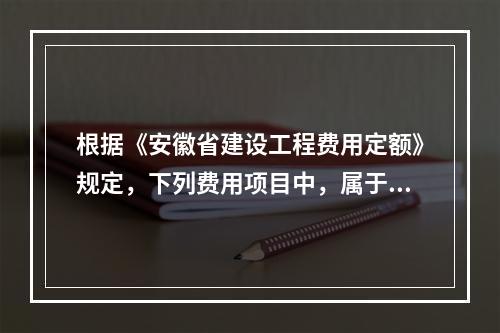 根据《安徽省建设工程费用定额》规定，下列费用项目中，属于建筑