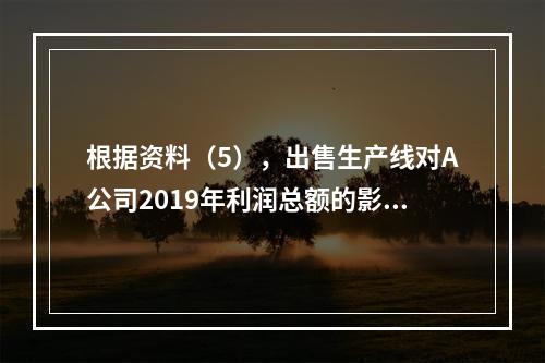 根据资料（5），出售生产线对A公司2019年利润总额的影响金